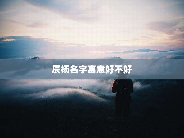 辰杨名字寓意好不好