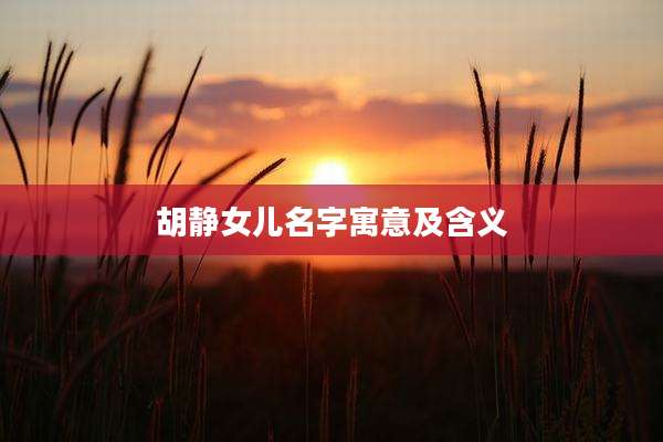 胡静女儿名字寓意及含义