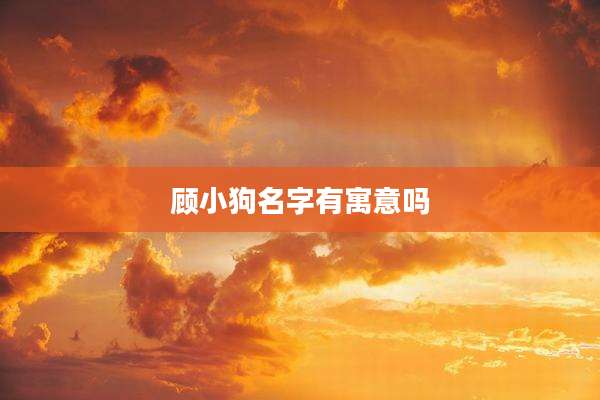 顾小狗名字有寓意吗