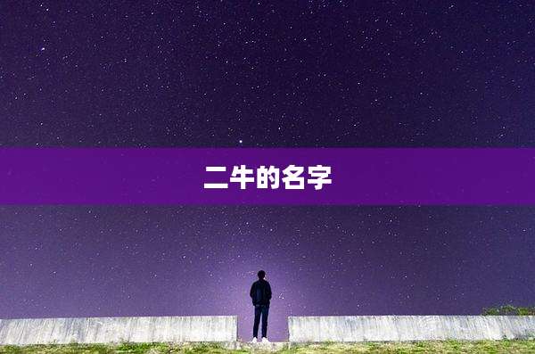 二牛的名字
