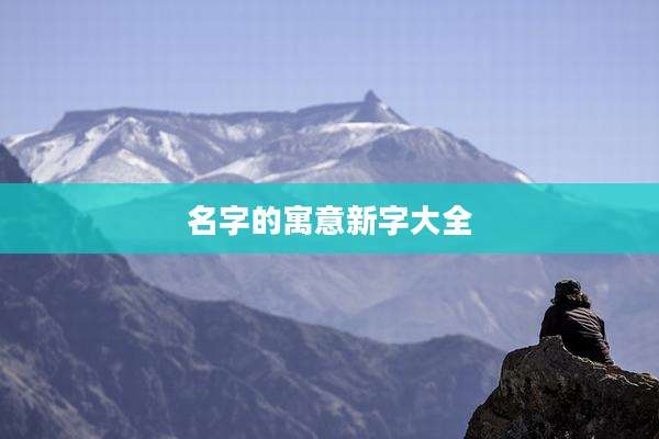 名字的寓意新字大全