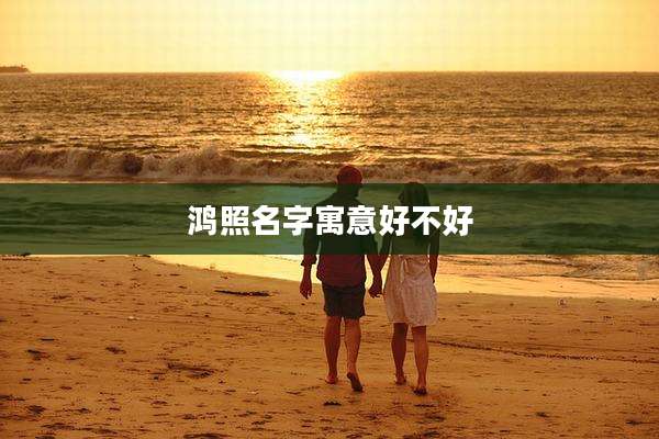 鸿照名字寓意好不好