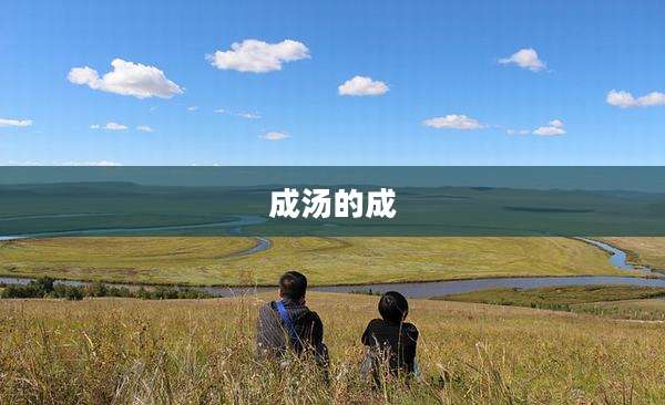 成汤的成