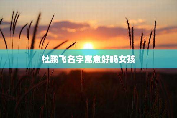 杜鹏飞名字寓意好吗女孩