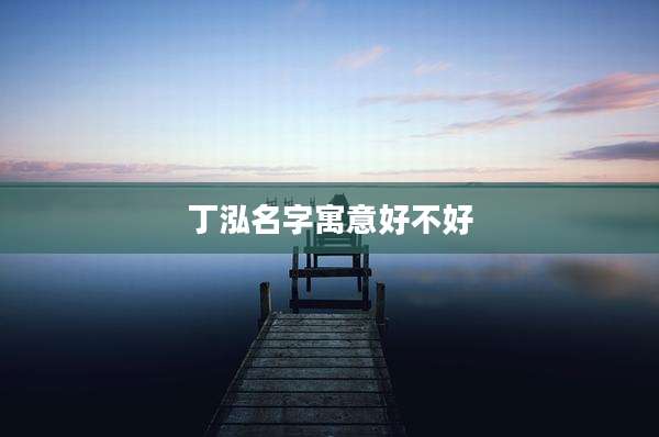 丁泓名字寓意好不好