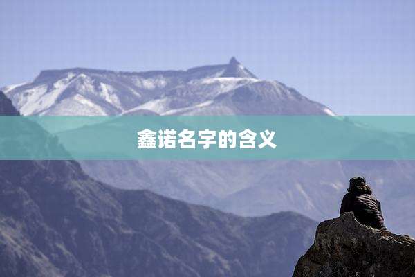 鑫诺名字的含义