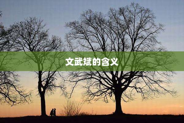 文武斌的含义