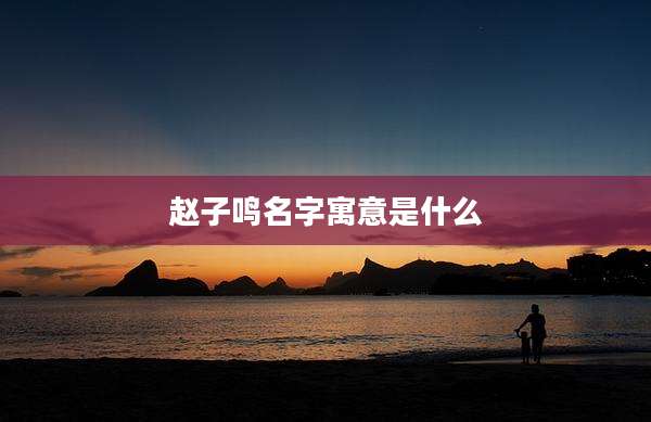 赵子鸣名字寓意是什么
