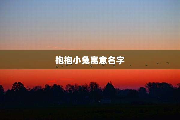 抱抱小兔寓意名字