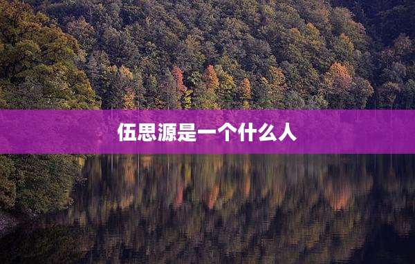 伍思源是一个什么人