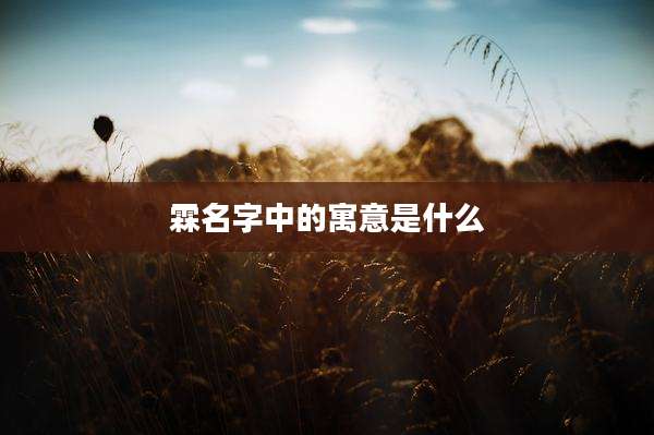 霖名字中的寓意是什么