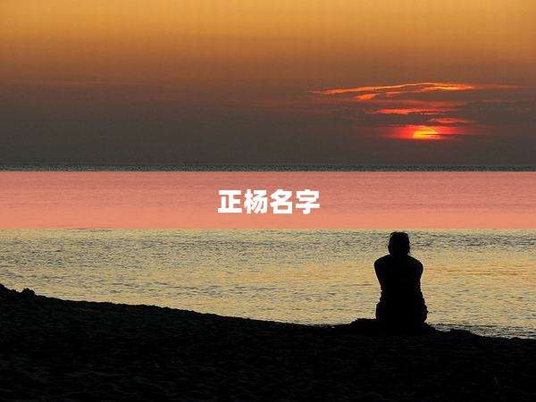 正杨名字
