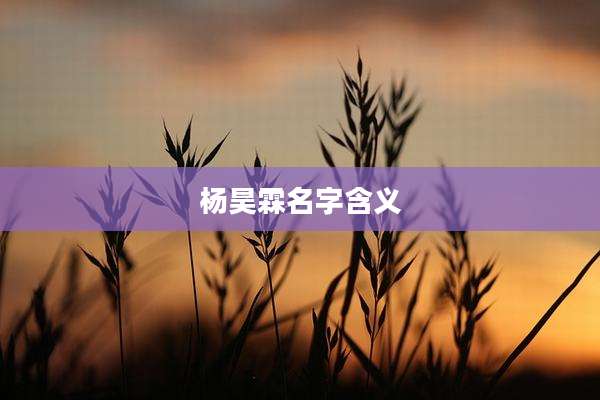 杨昊霖名字含义