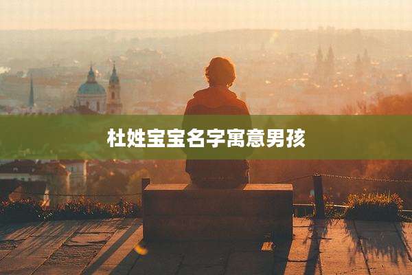 杜姓宝宝名字寓意男孩