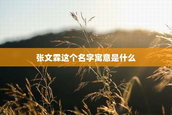 张文霖这个名字寓意是什么