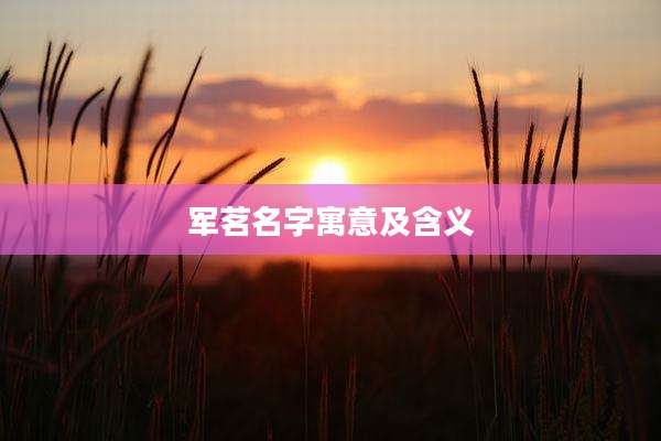 军茗名字寓意及含义
