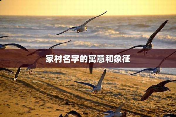 家村名字的寓意和象征