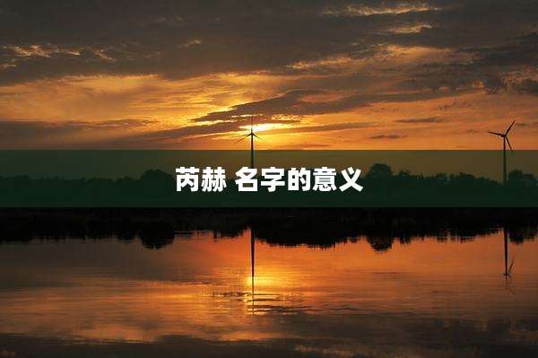 芮赫 名字的意义