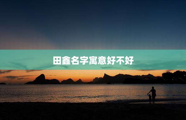 田鑫名字寓意好不好