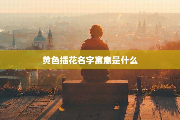 黄色插花名字寓意是什么