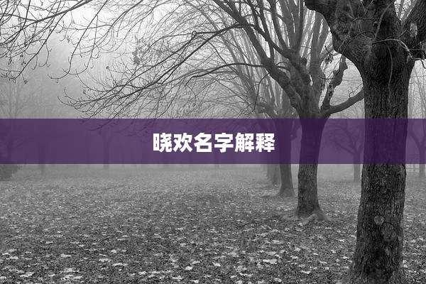 晓欢名字解释