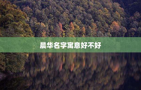 晨华名字寓意好不好