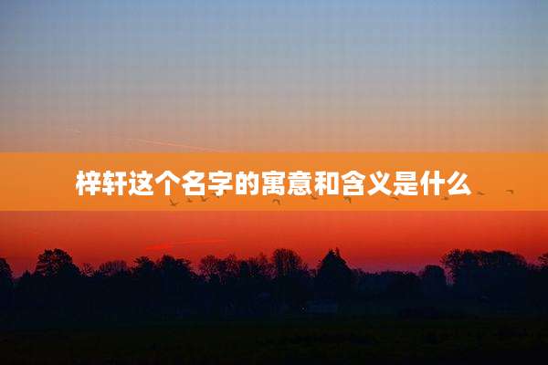 梓轩这个名字的寓意和含义是什么