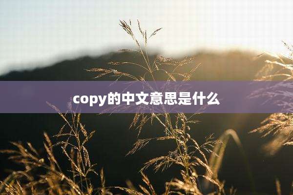 copy的中文意思是什么