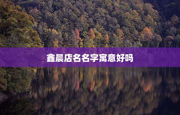 鑫晨店名名字寓意好吗