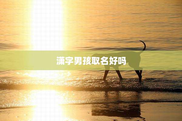 潇字男孩取名好吗