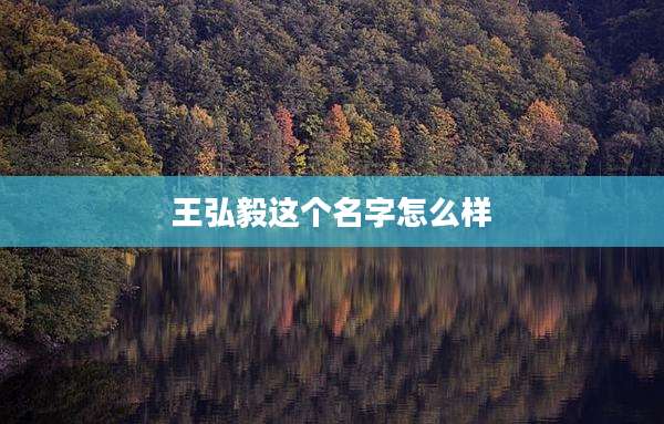 王弘毅这个名字怎么样