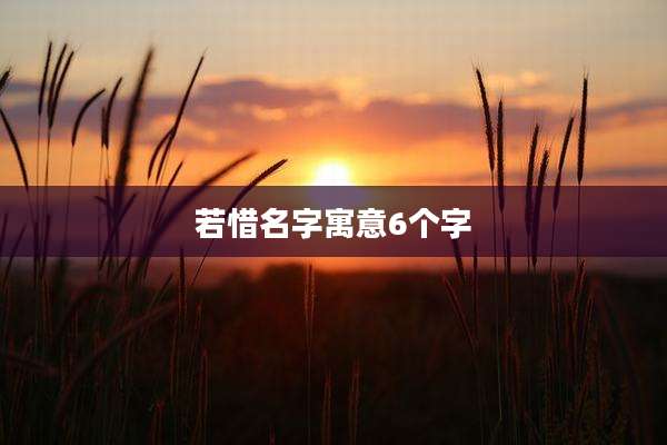 若惜名字寓意6个字