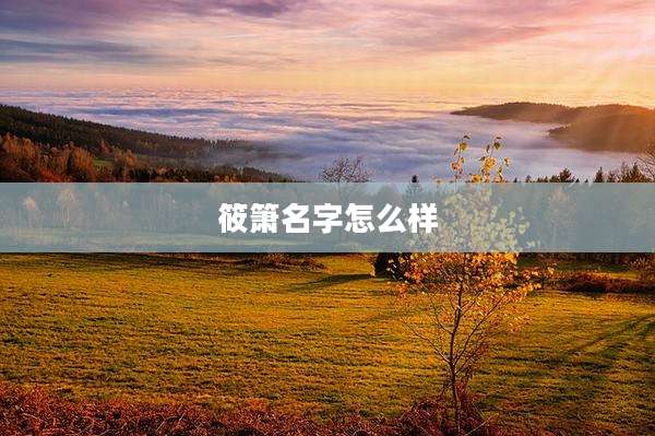 筱箫名字怎么样