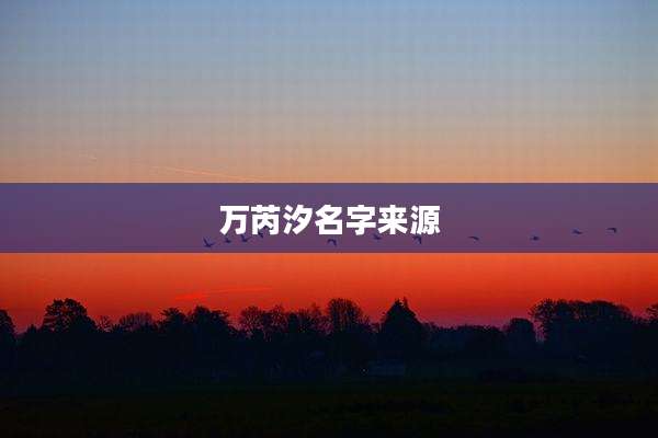 万芮汐名字来源