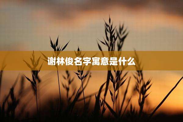 谢林俊名字寓意是什么