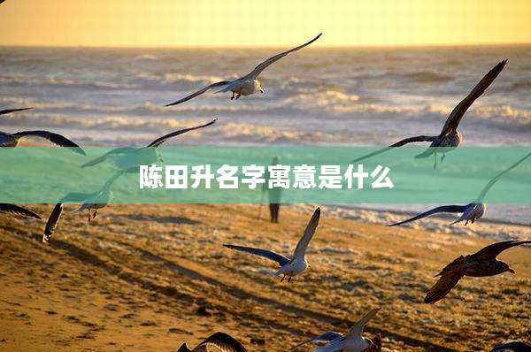 陈田升名字寓意是什么