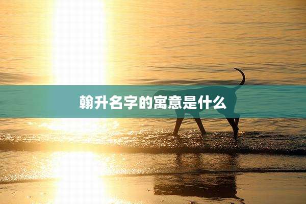 翰升名字的寓意是什么