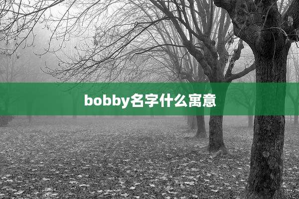 bobby名字什么寓意