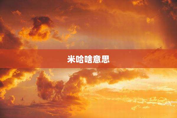 米哈啥意思