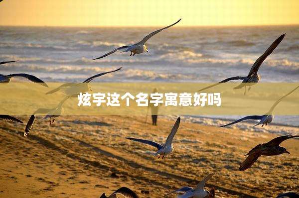 炫宇这个名字寓意好吗