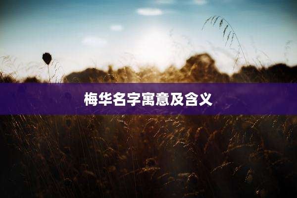 梅华名字寓意及含义