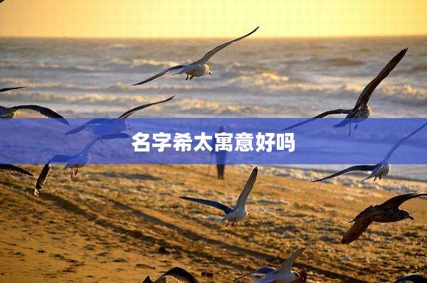 名字希太寓意好吗