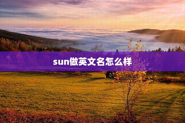 sun做英文名怎么样