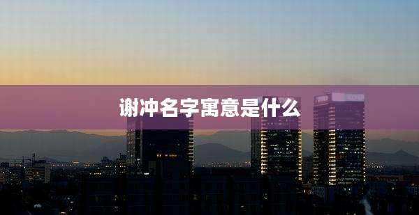 谢冲名字寓意是什么