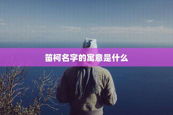 笛柯名字的寓意是什么