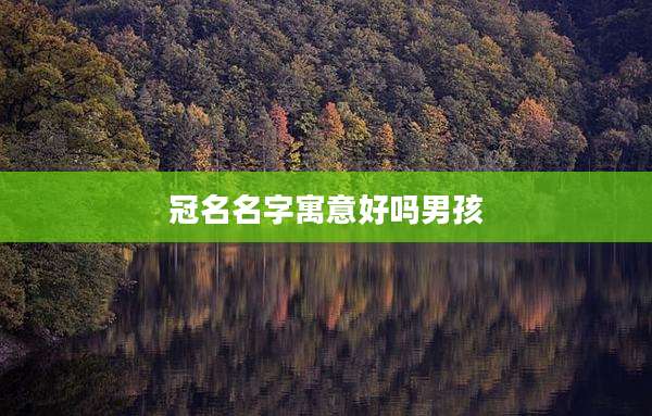 冠名名字寓意好吗男孩