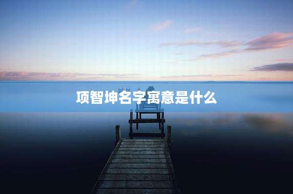 项智坤名字寓意是什么