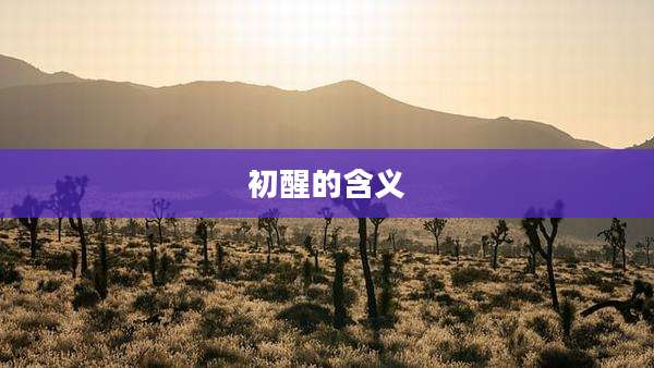 初醒的含义