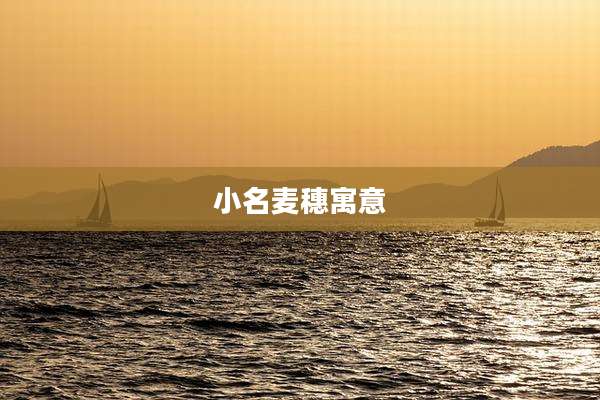 小名麦穗寓意