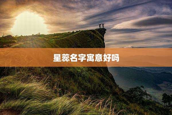 星蕊名字寓意好吗